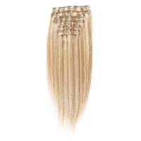 Clip On Extensions - 40 cm #27/613 Lysblond Mix