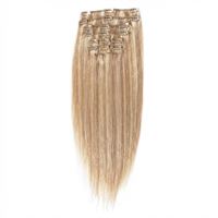 Clip On Extensions - 50 cm - #18/613 Blond Mix
