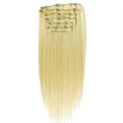 Clip On Extensions - 40 cm #613 Blond