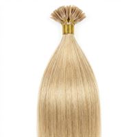 Hot Fusion Extensions - 60 cm - #613 Blond