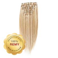 Clip On Extensions - 40 cm #27/613 Lysblond Mix