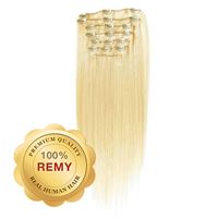 Clip On Extensions - 40 cm #613 Blond